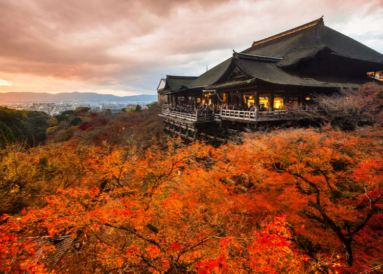 About 8 Autumn Color Destinations in Tokyo Japan 2024 2
