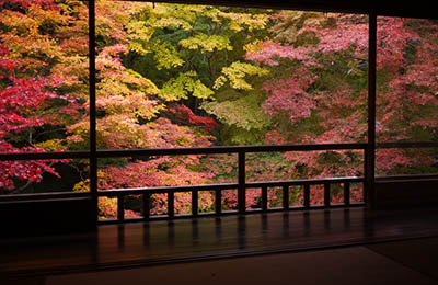 About 8 Autumn Color Destinations in Tokyo Japan 2024 5