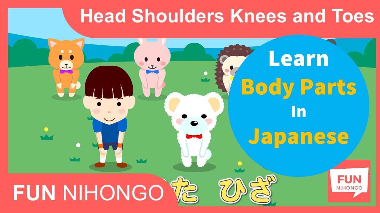 Body Parts in Japanese – Every Term from Head to Toe 1