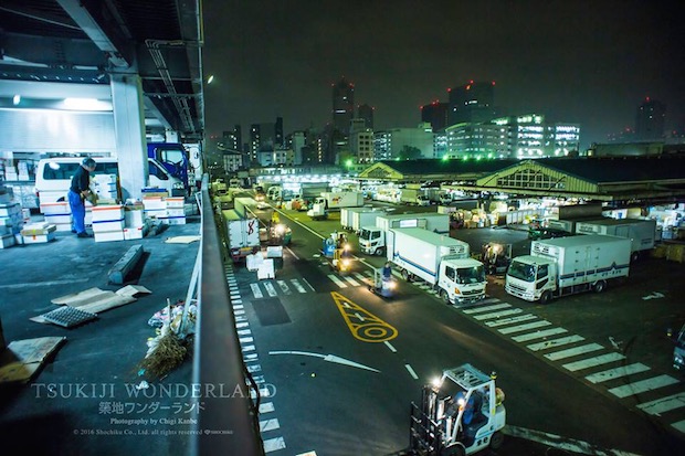 All about Tsukiji Fish Market Relocation Delay in Japan 3