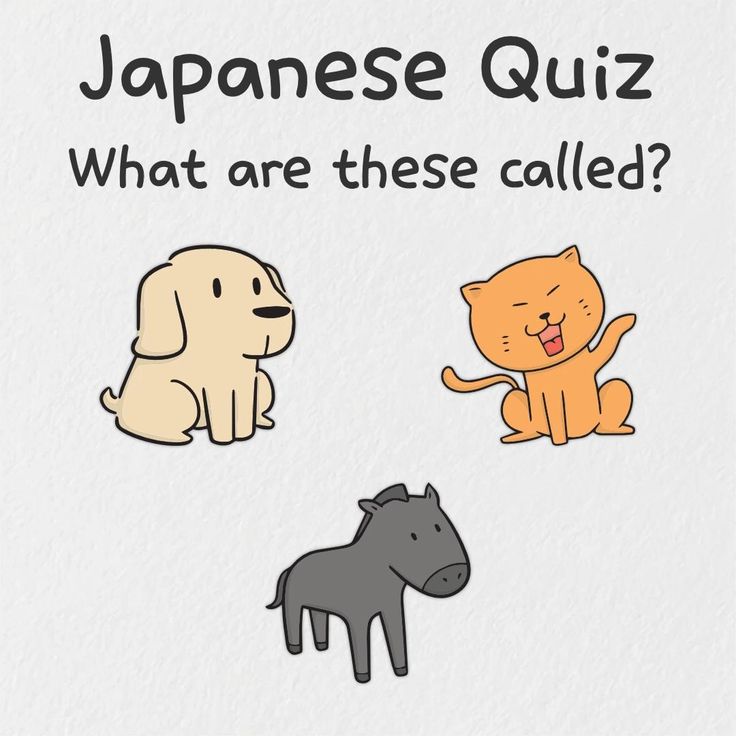 Animals in Japanese — Vocabulary for your furry friends 2