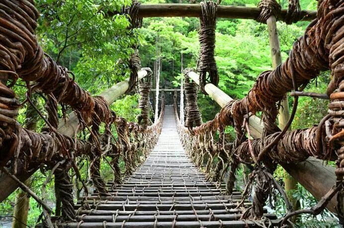 Discover Suspension Bridges of the Sumatakyo Japan 4