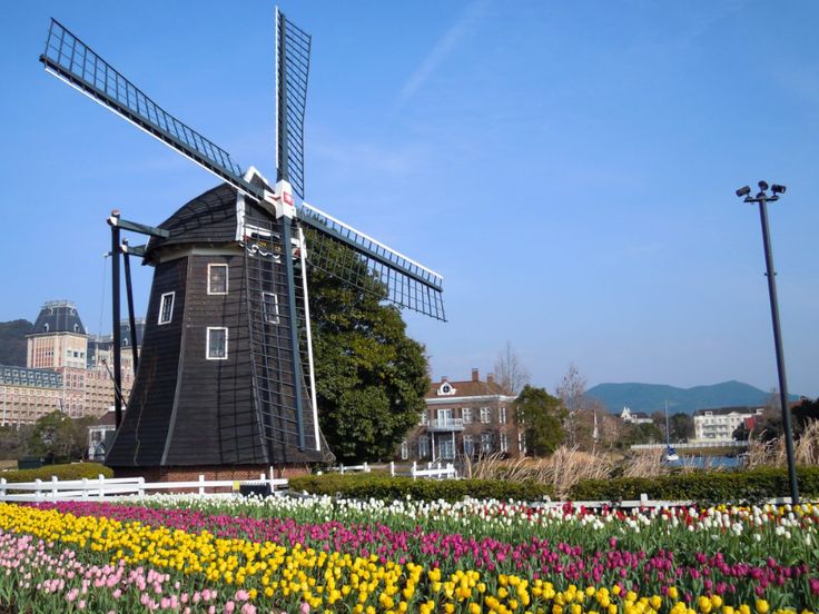 Guide to 5 Flower Parks to Visit in Kyushu Japan 2024 3