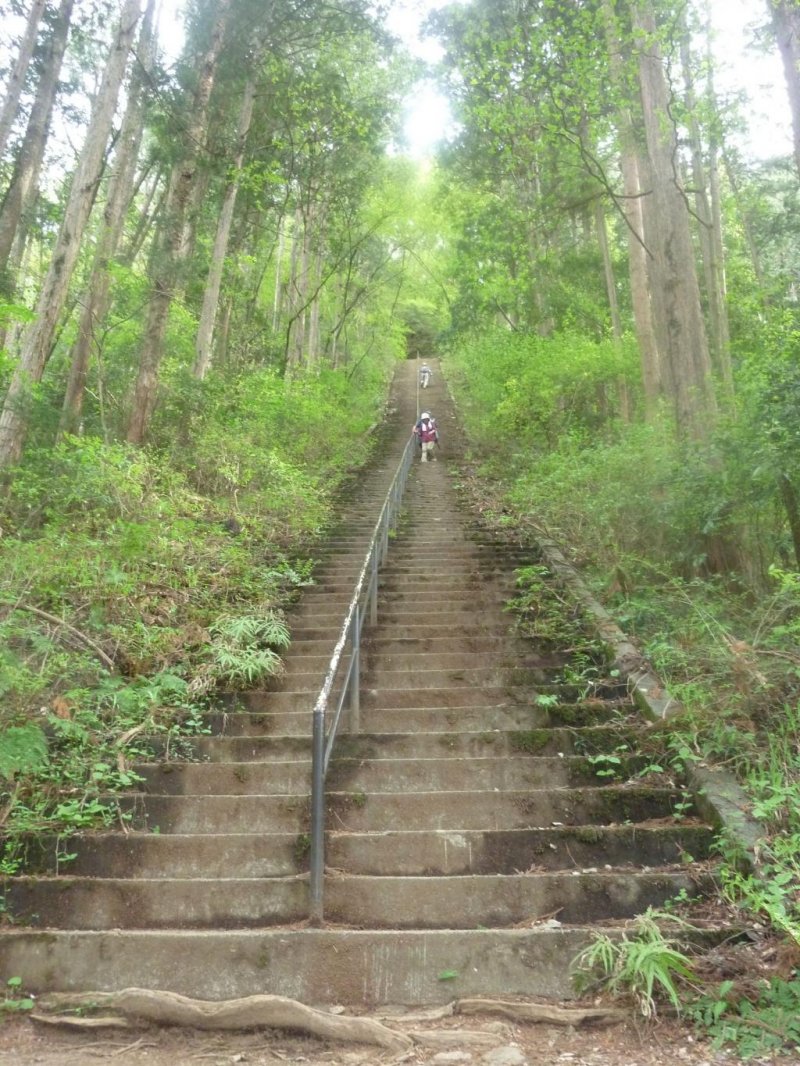 Guide to Mount Mitake & Mount Odake Day Hike Japan 5