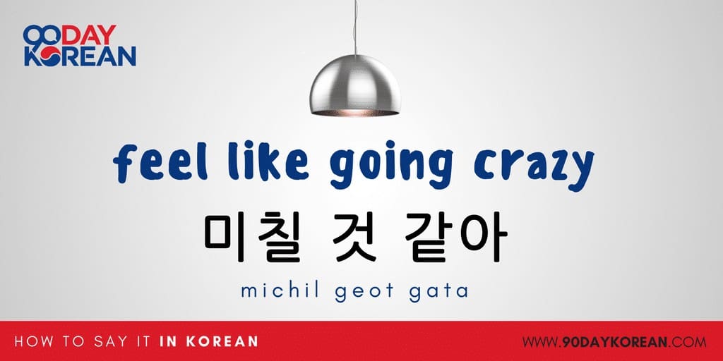 How to Say “Crazy” in Japanese – The meaning of 미쳤어 (michyeosseo) 4