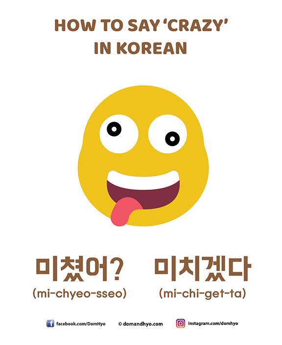 How to Say “Crazy” in Japanese – The meaning of 미쳤어 (michyeosseo) 5