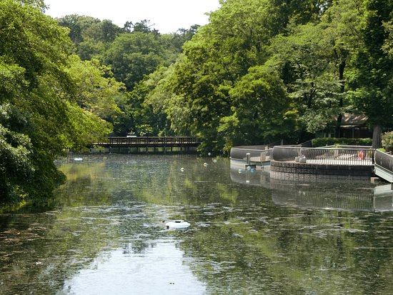 Visiting Musashino Woods Park in Japan 1