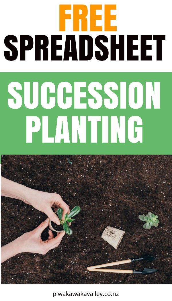 A Comprehensive Guide For Succession Planting in The Garden 1