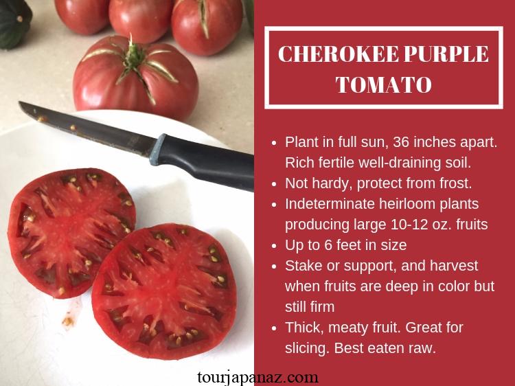 How to Plant, Grow, and Care for Cherokee Purple Tomatoes 1