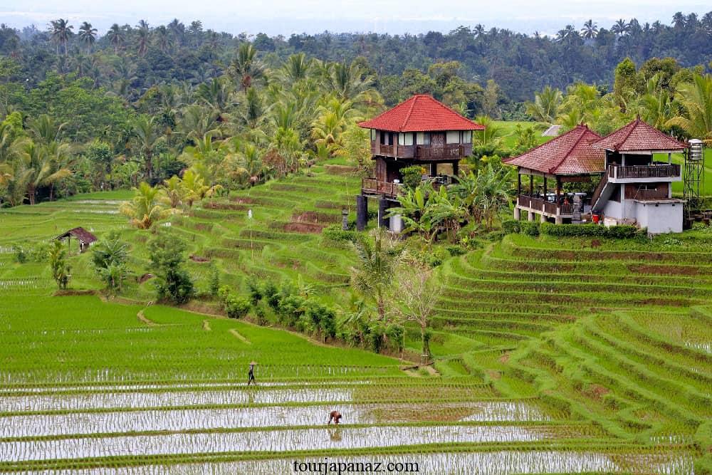 Where is the best place to stay in Bali? 3